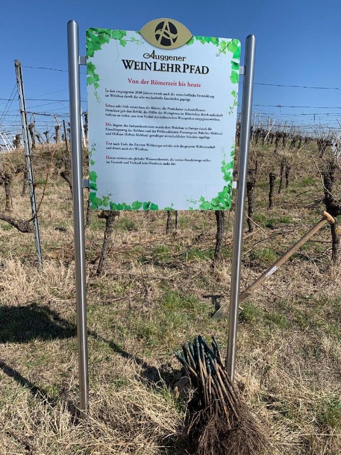 Ferienwohnung Rüdlins-Winzerhof Auggen Exterior foto